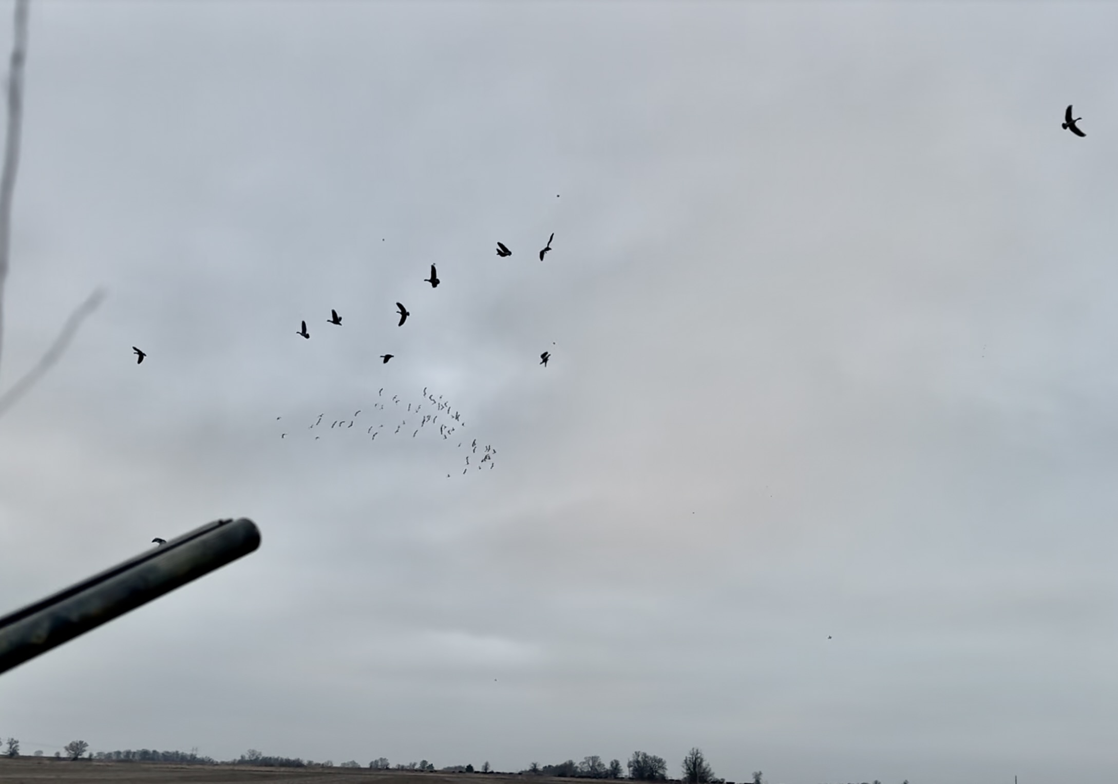 Kansas Waterfowl and Upland Hunt